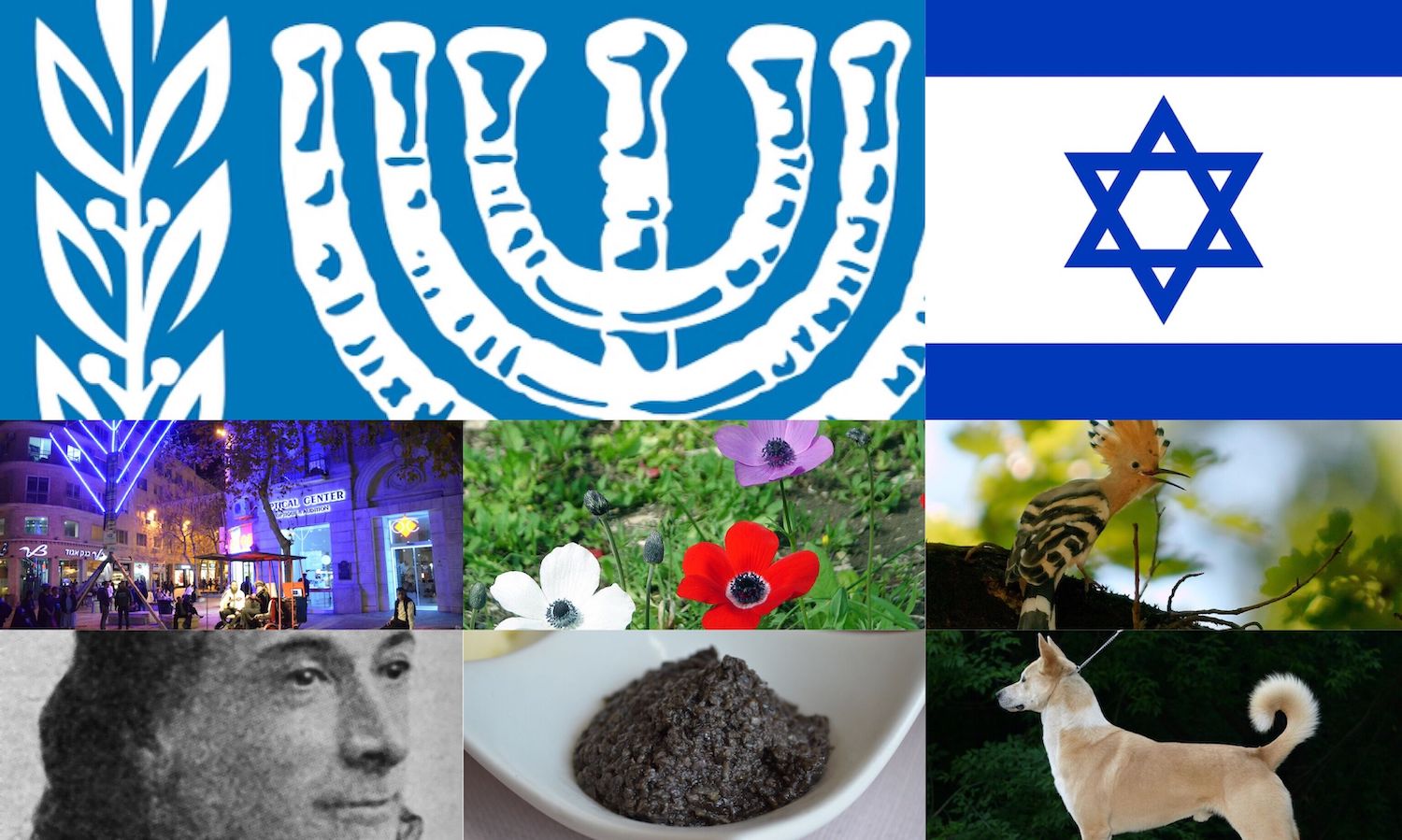 イスラエルで国の象徴と考えられている8つのシンボル がぅちゃんのブログ
