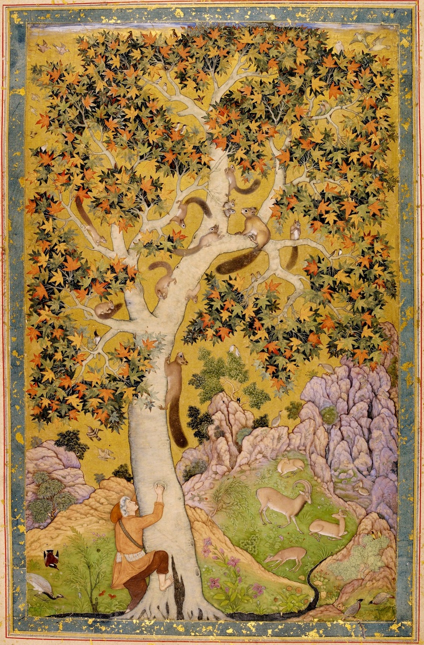 6Abul_Hasan_Squirrels_in_a_Plane_Tree_ca._1610_India_Office_Library_and_Records_London