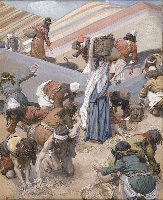 800px-Tissot_The_Gathering_of_the_Manna_(color)